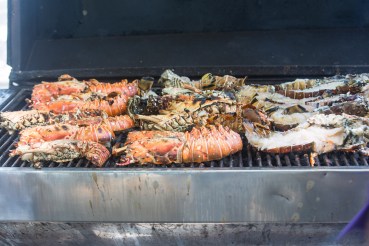 20170126_113632_K8A9099 másolata