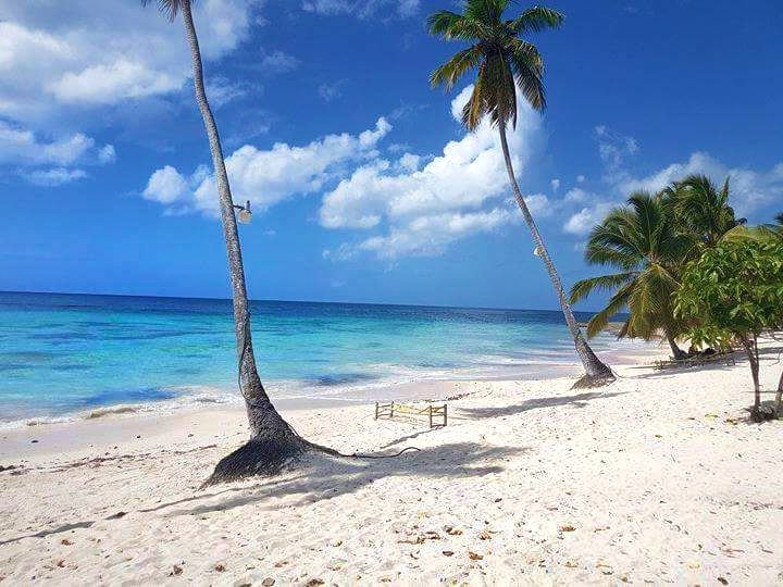 fb_img_1487092397460-2